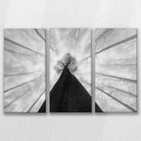 LW-090R060