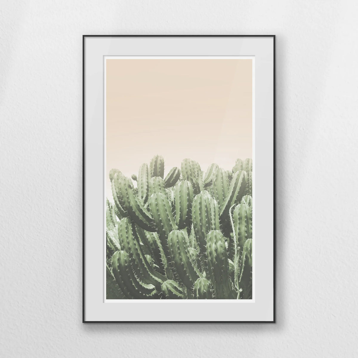 PBP080W120