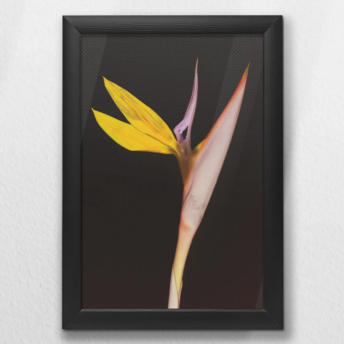 LWB020W030