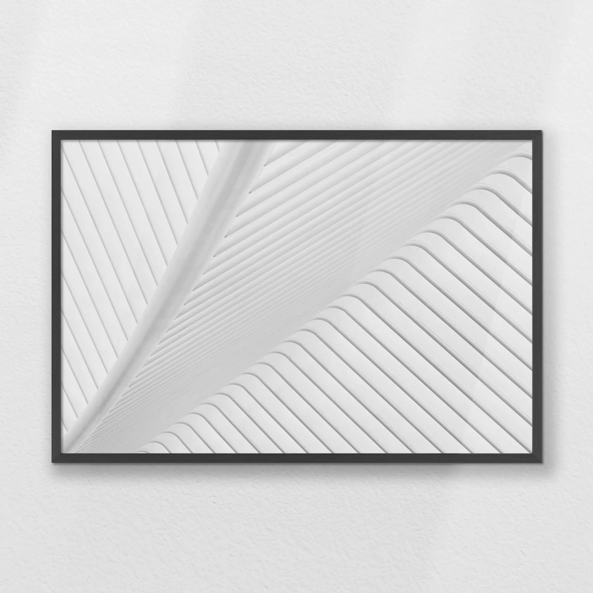 PK-093W062
