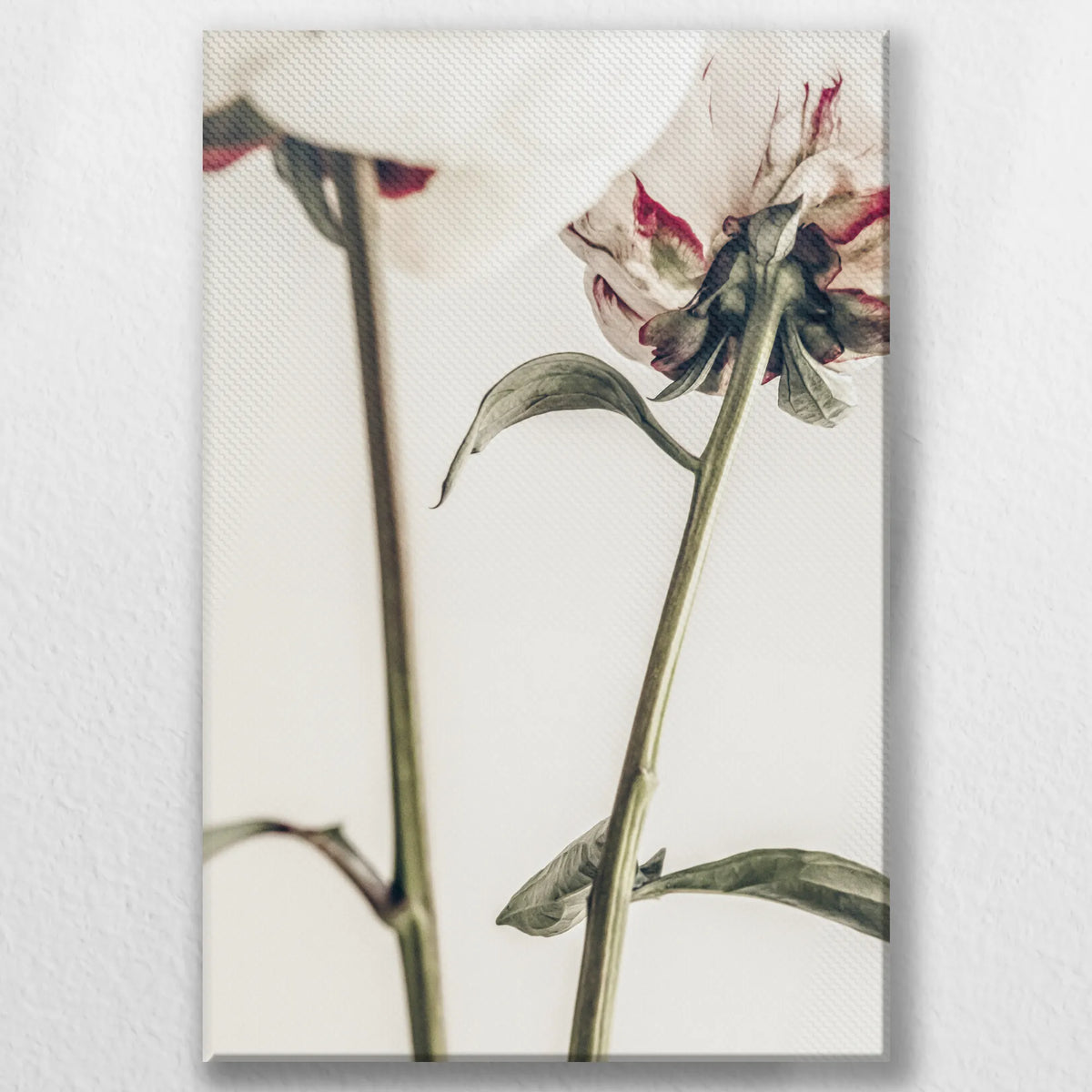 LW-020W030