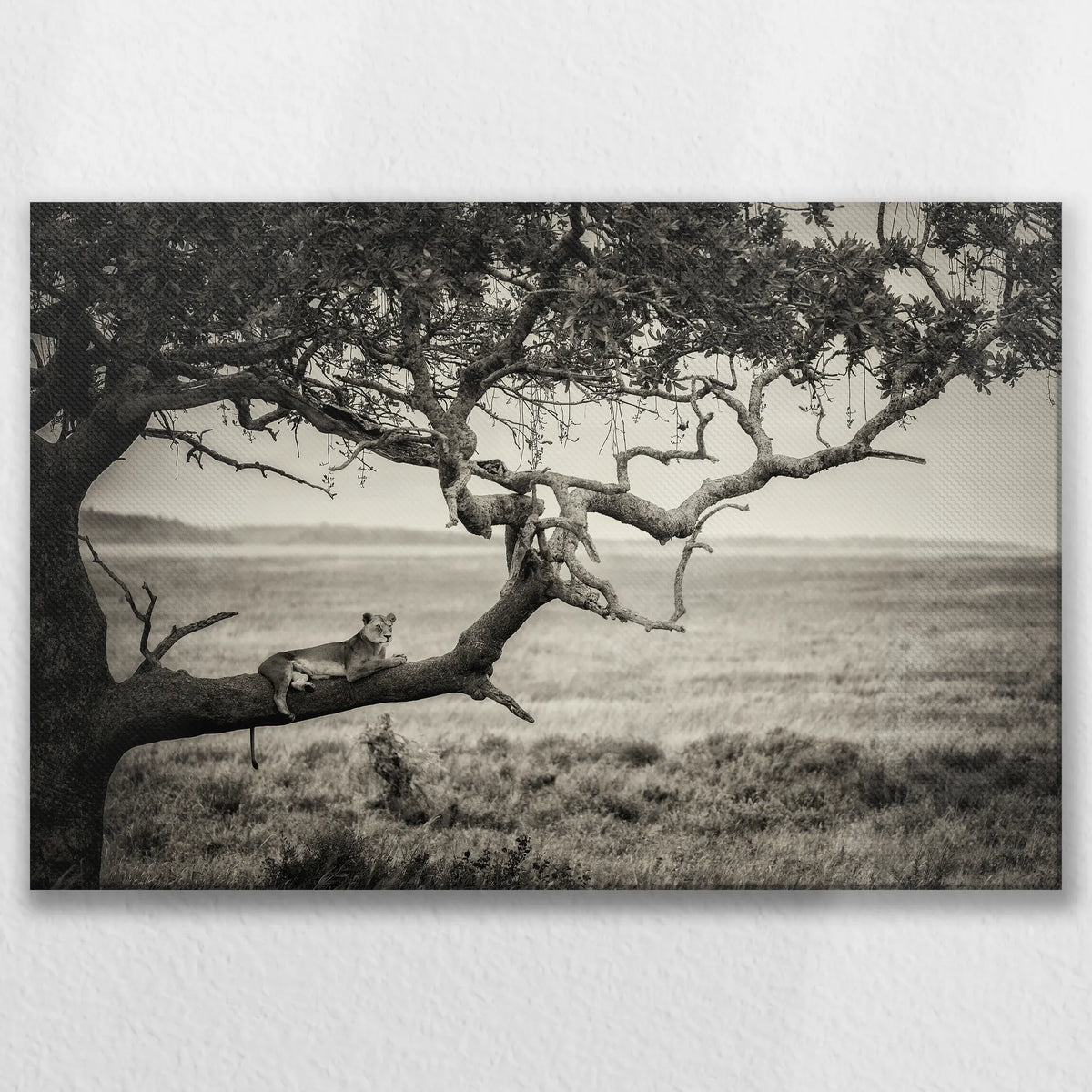 LW-090W060