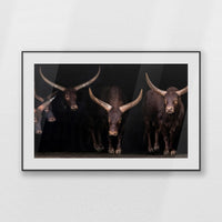 PBP120W080