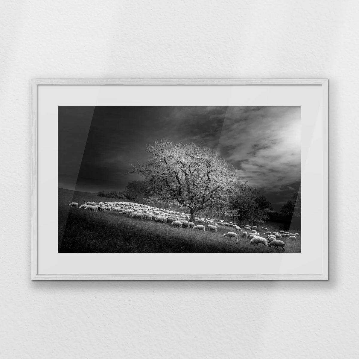 PWP093W062