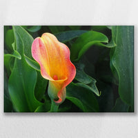 LW-060W040