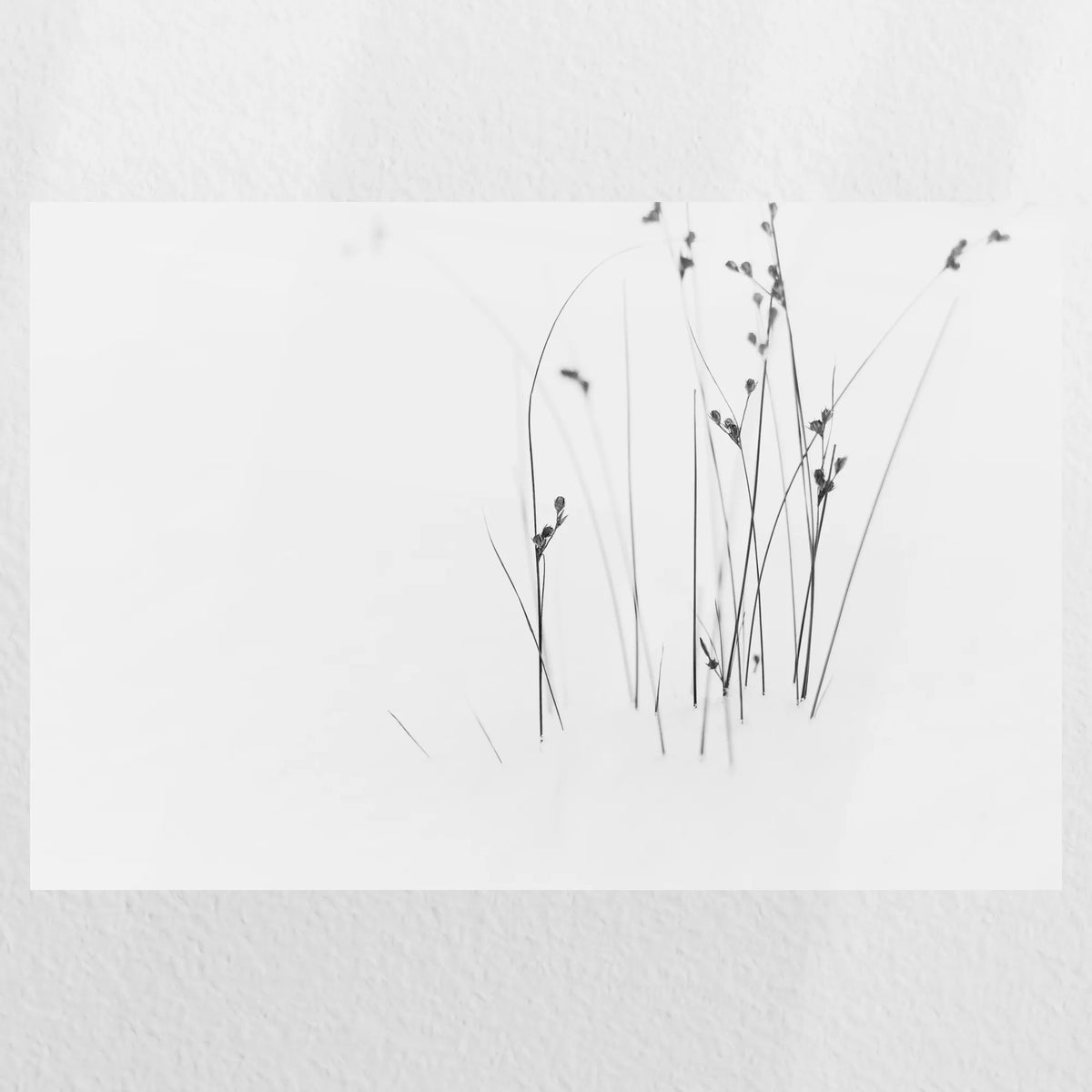 PO-060W040