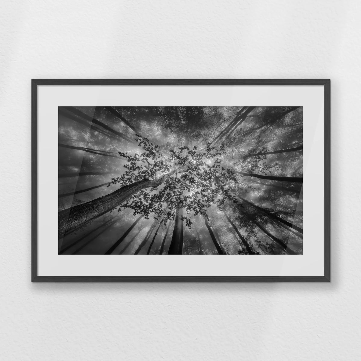 PKP093W062