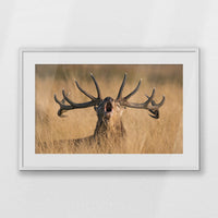 PWP093W062