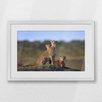 PWP060W040