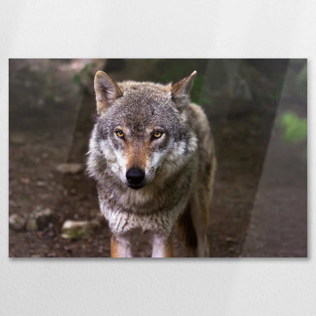 AL-075W050