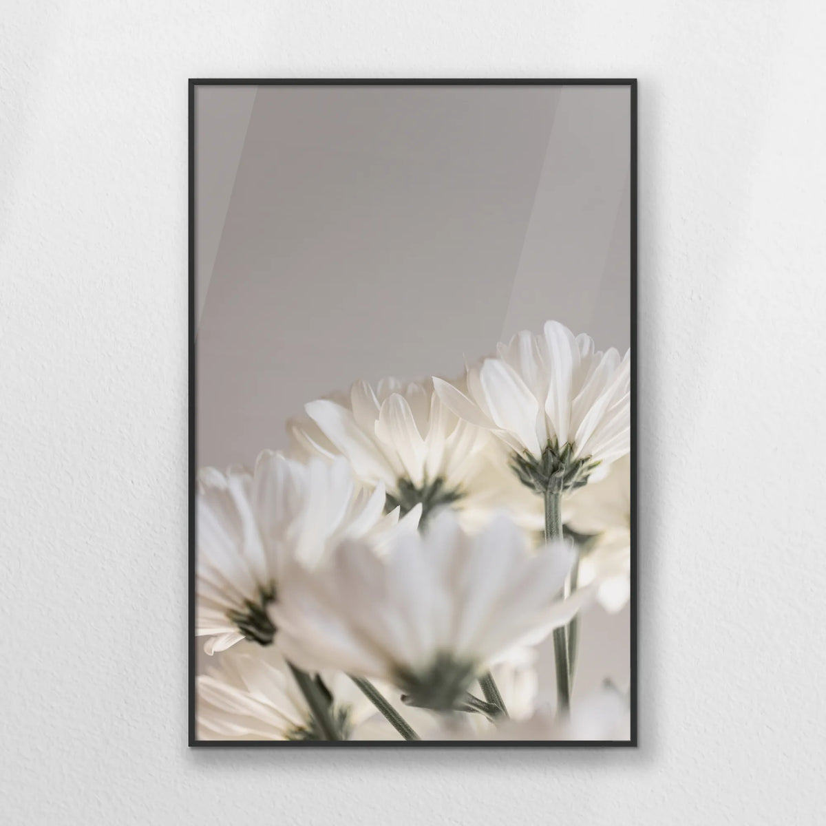 PB-062W093