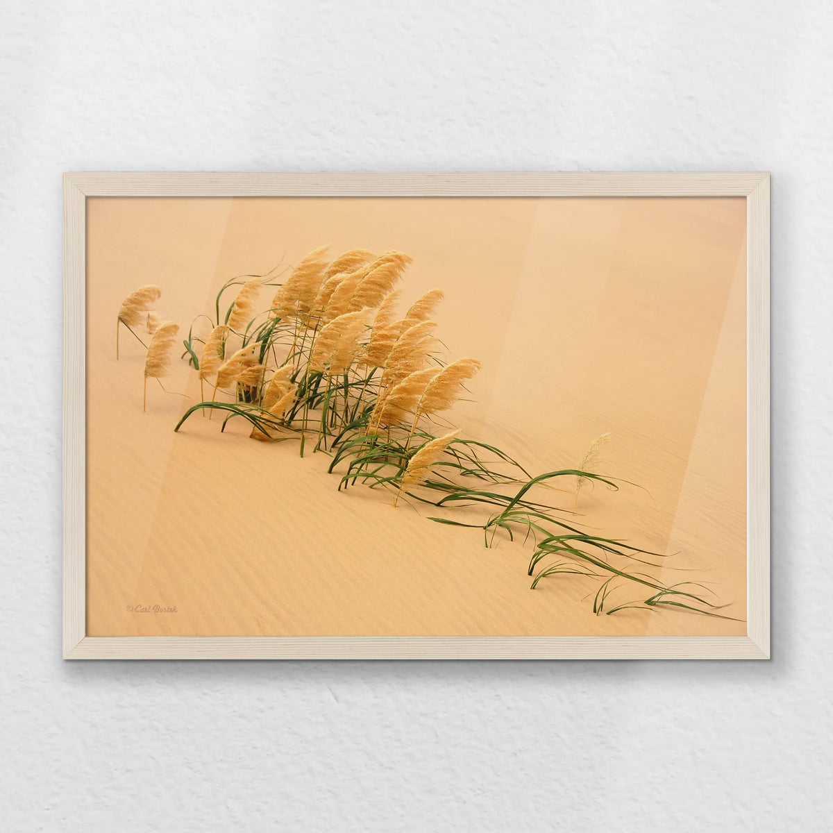 PN-060W040