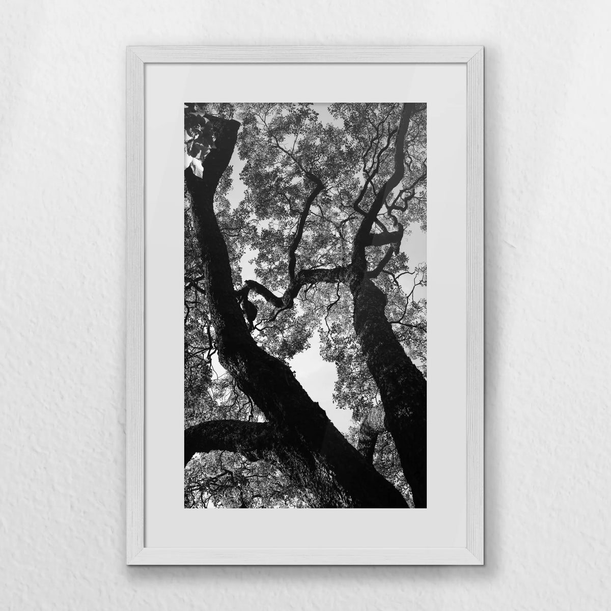 PWP040W060