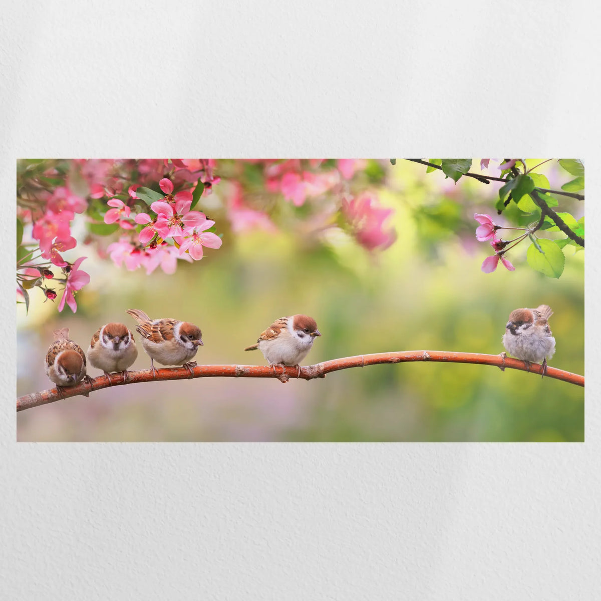 PO-120W060