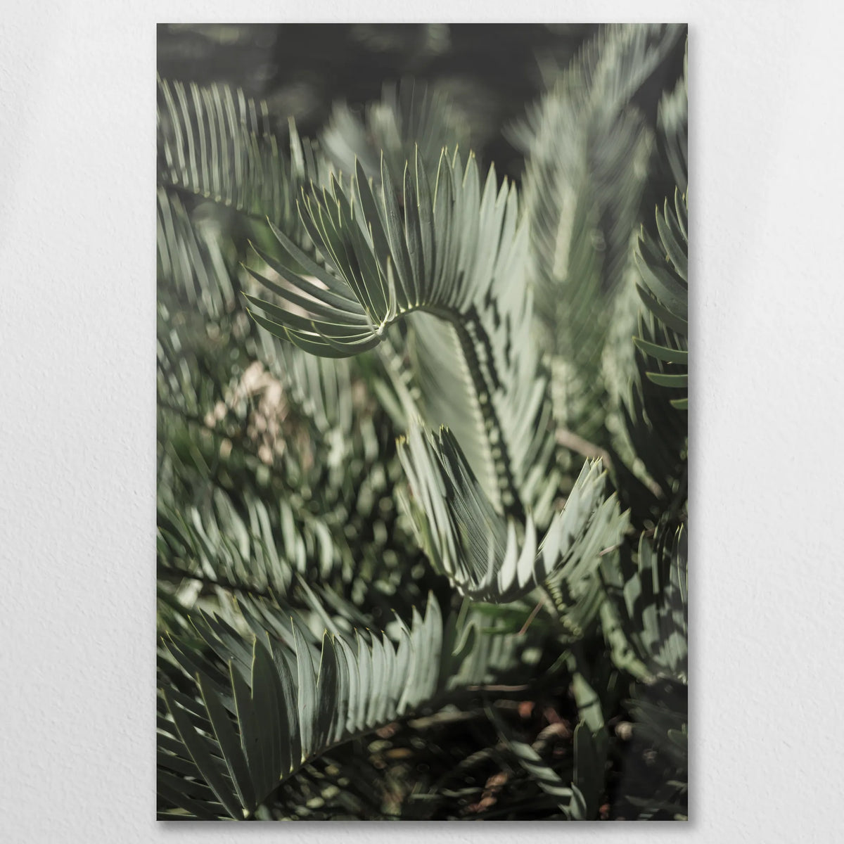 AL-060W090
