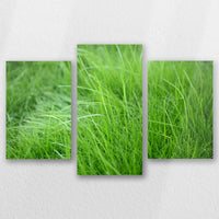 AL-060T040