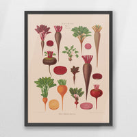 PK-050W070