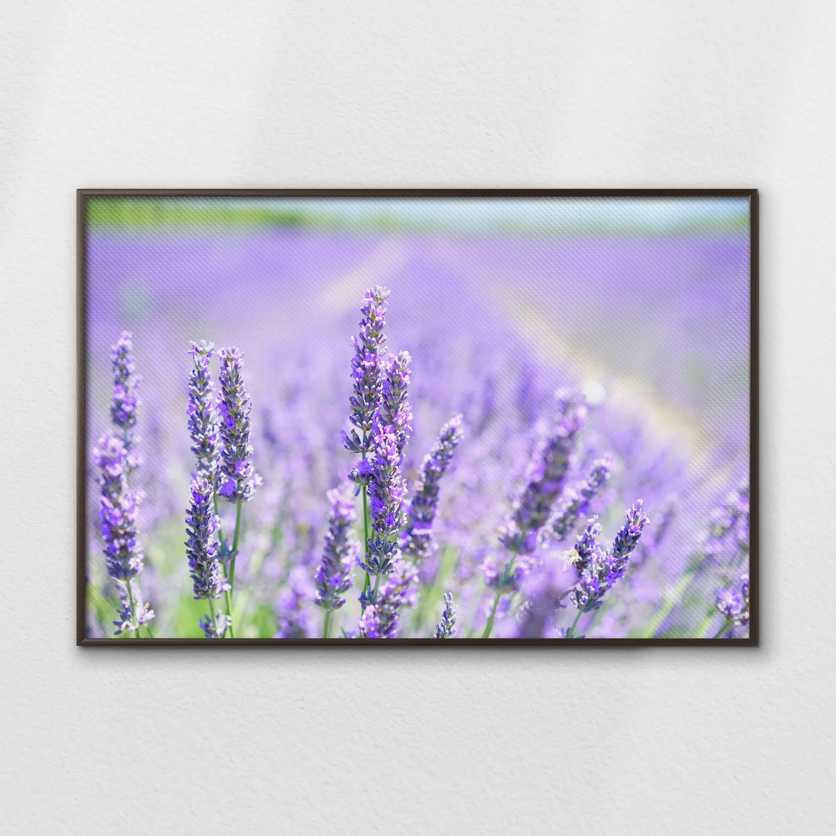 LWN120W080