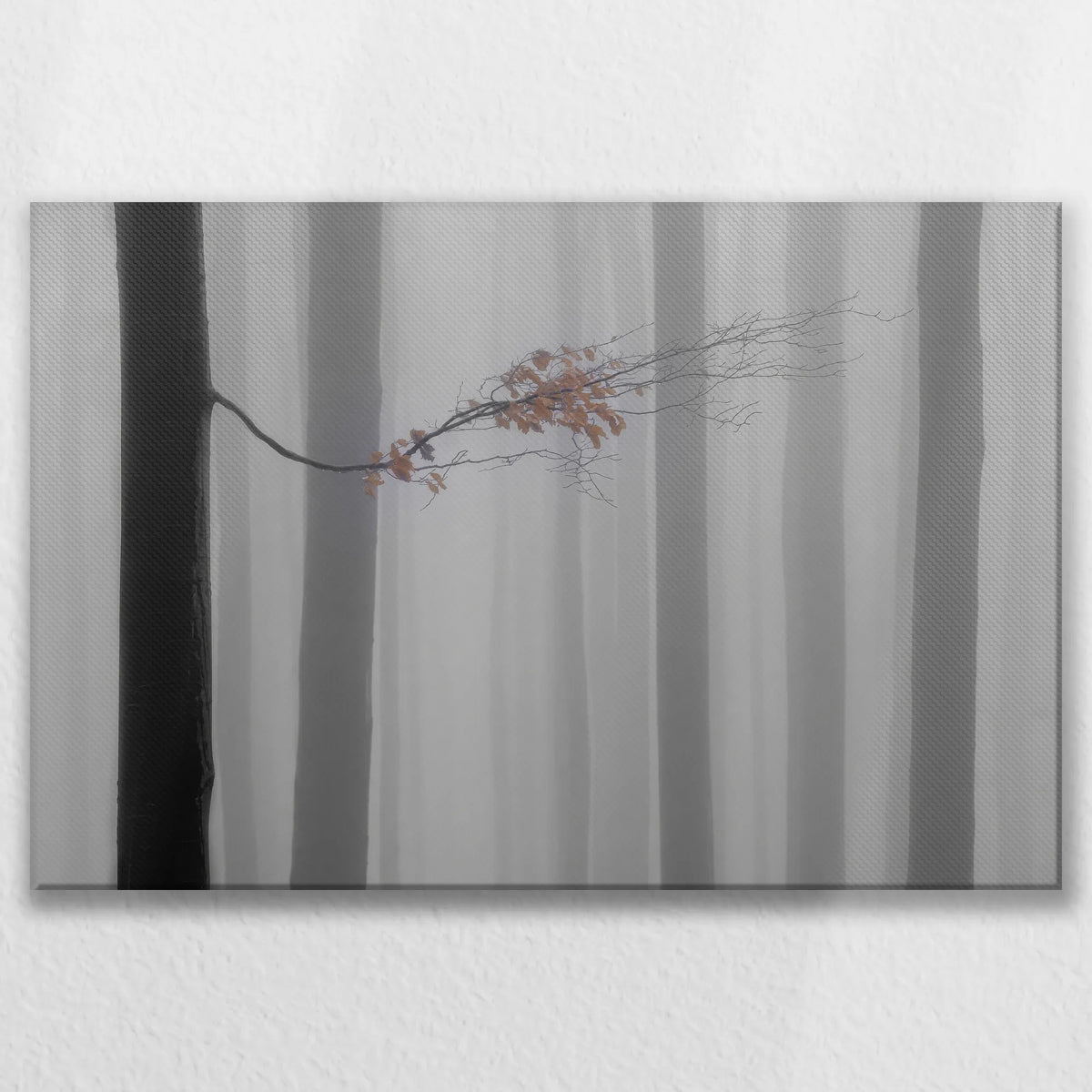LW-075W050