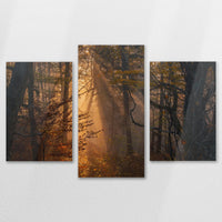 AL-150T100