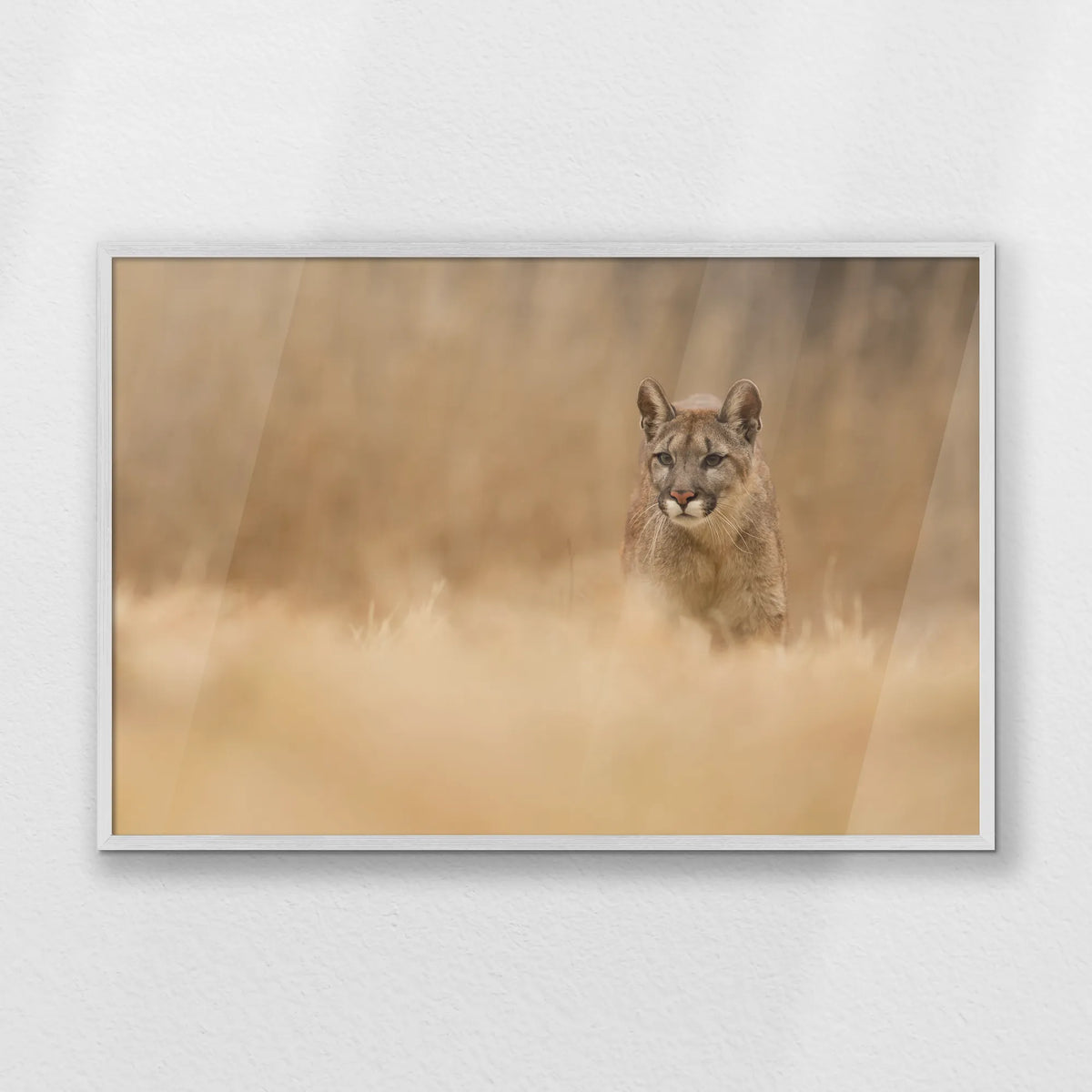 PW-100W070