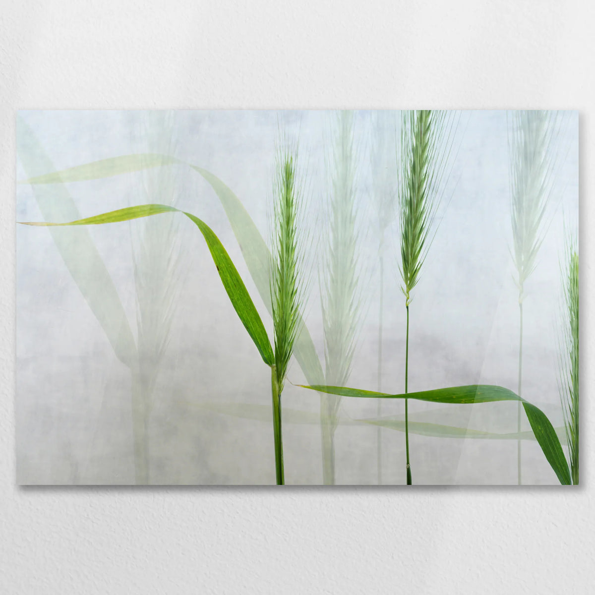 AC-075W050