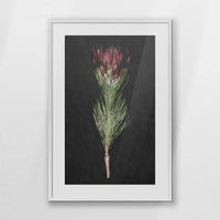 PWP062W093