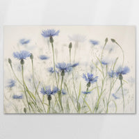 AL-120W080
