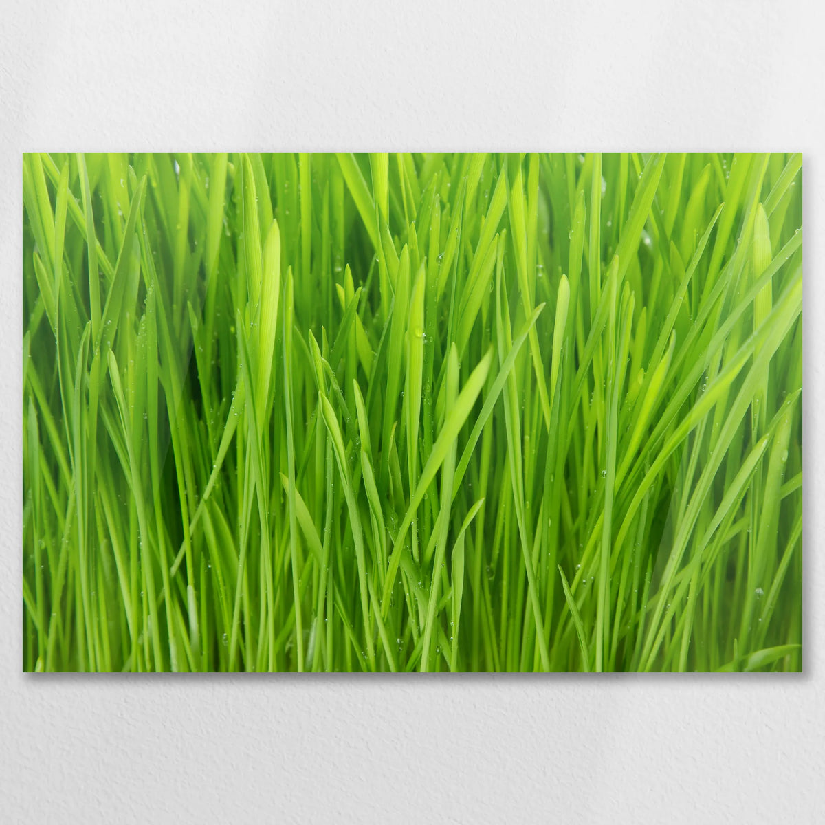 AC-090W060
