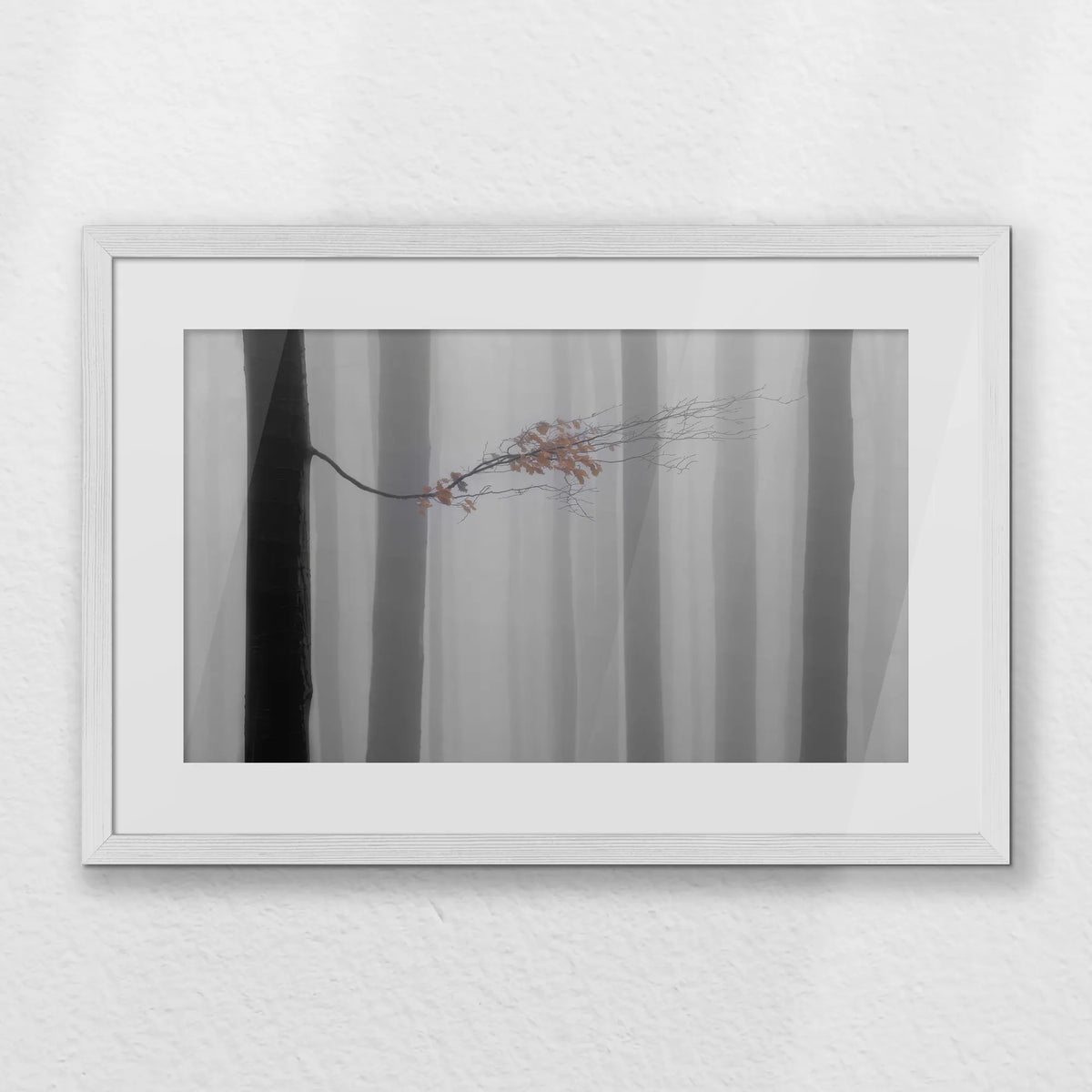 PWP060W040
