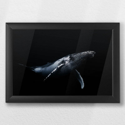 LWB030W020