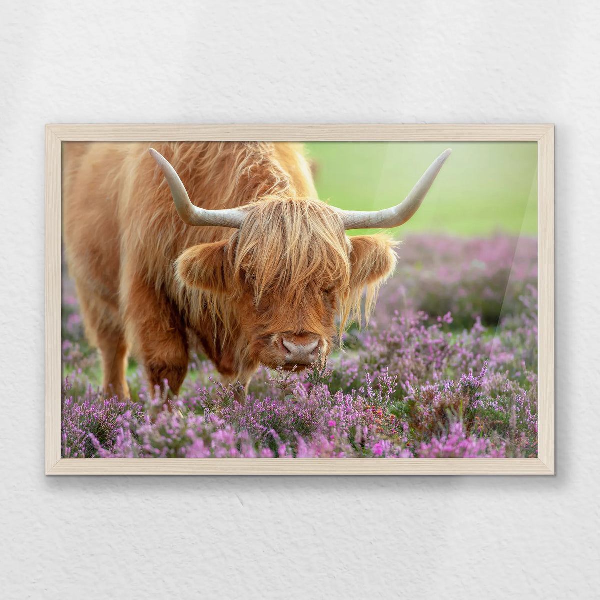 PN-060W040