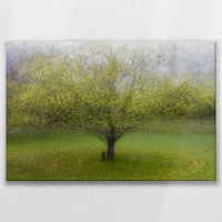 LW-075W050