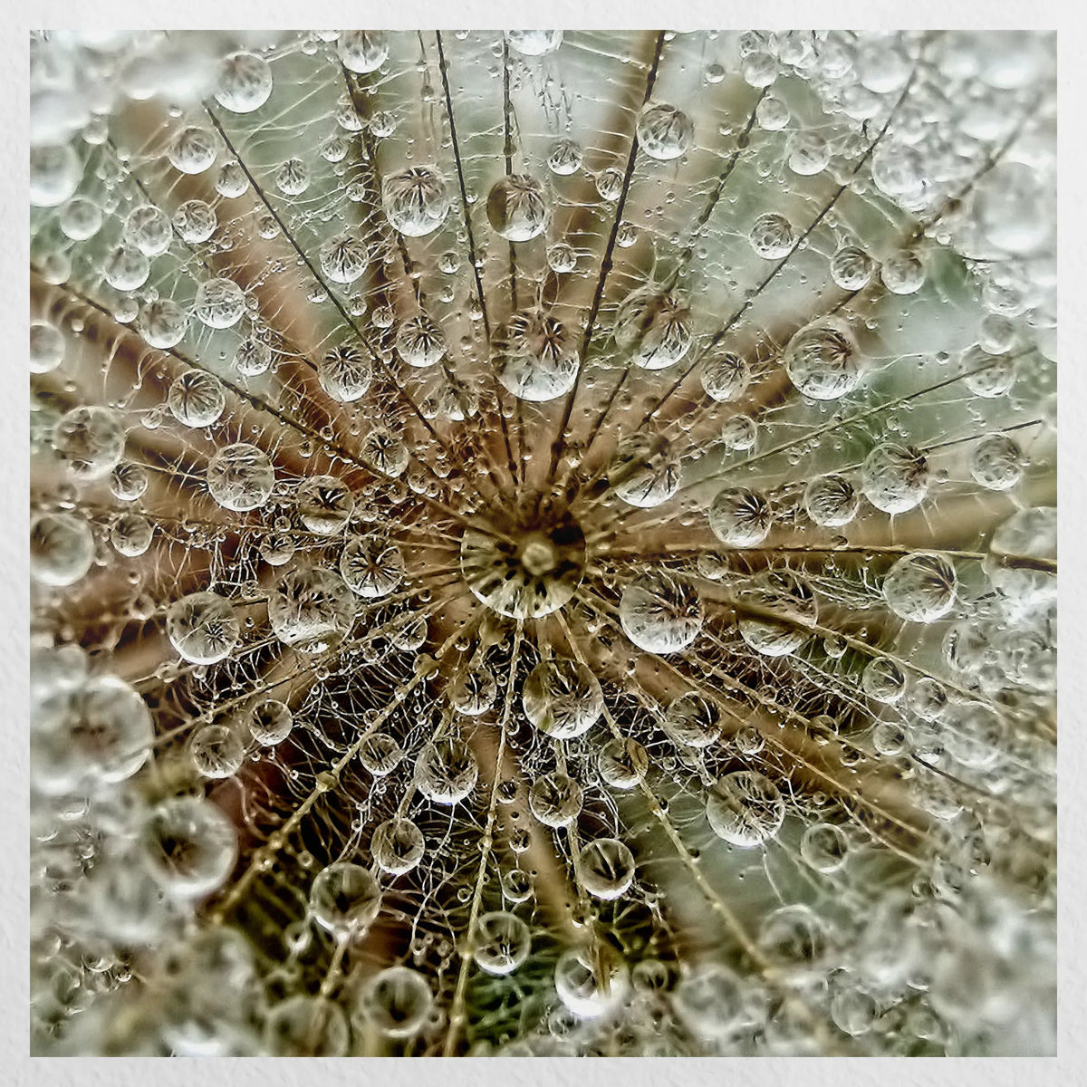PO-060W060