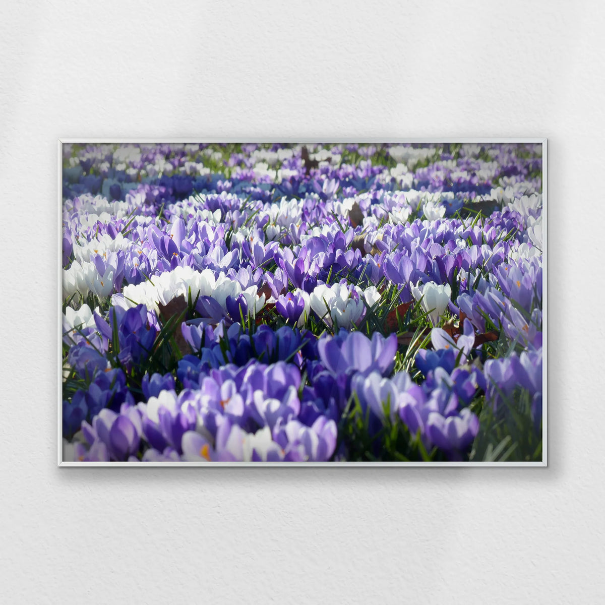PS-093W062