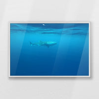 PW-093W062