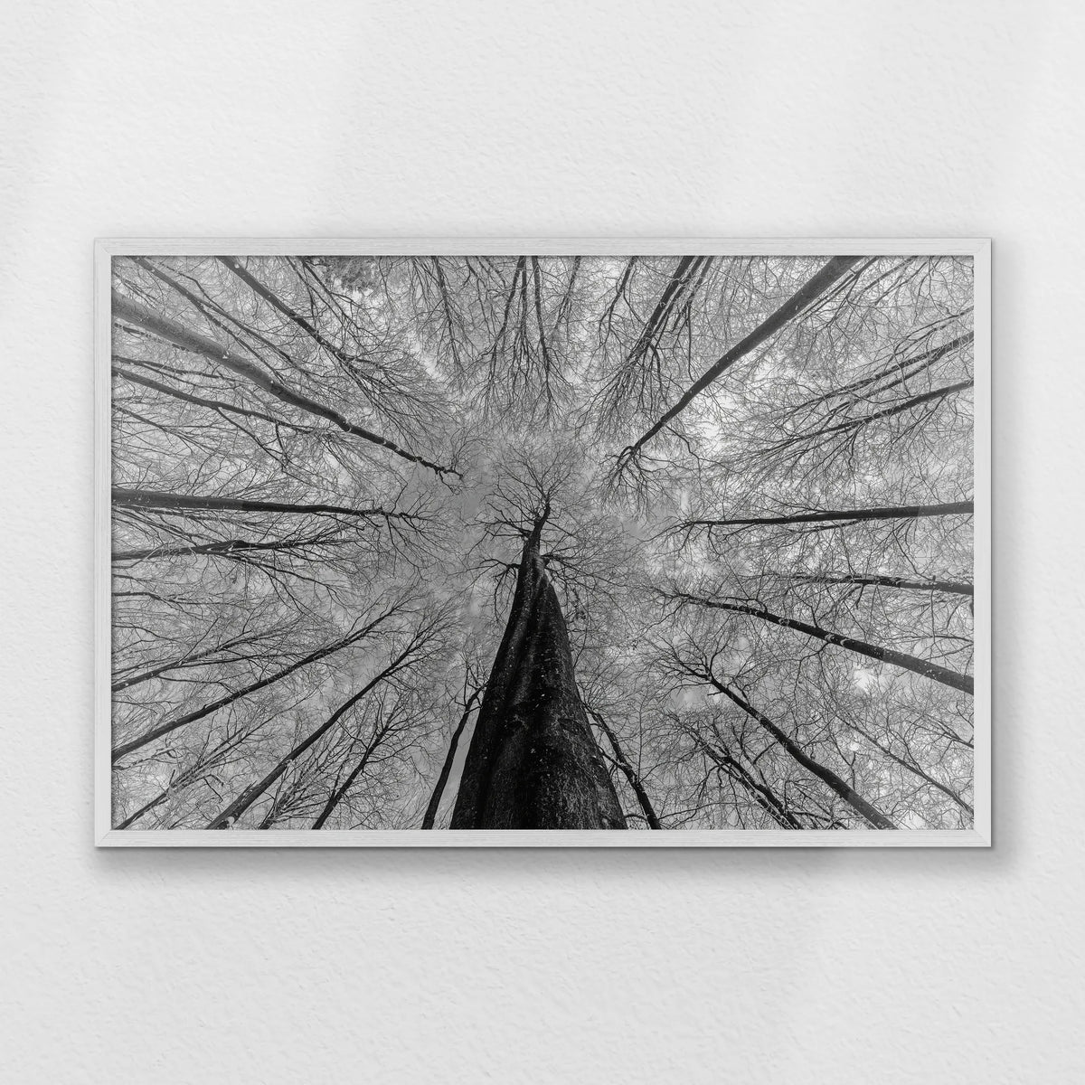 PW-093W062