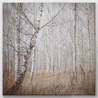 LW-030W030