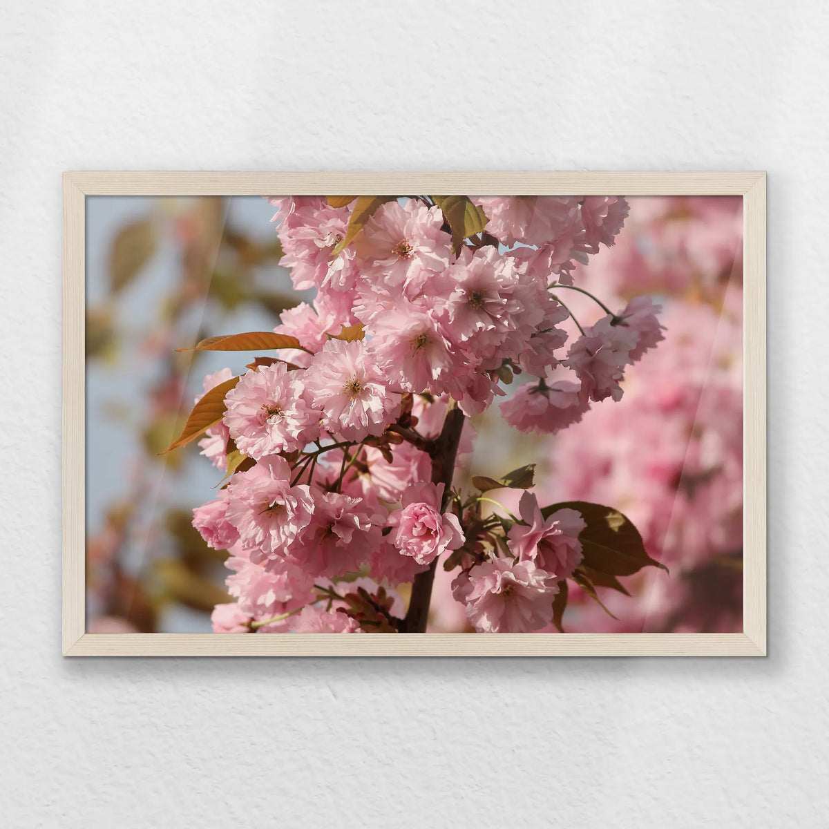 PN-060W040