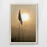 PN-040W060