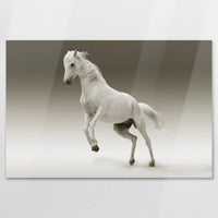 AL-120W080