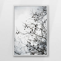 PW-062W093