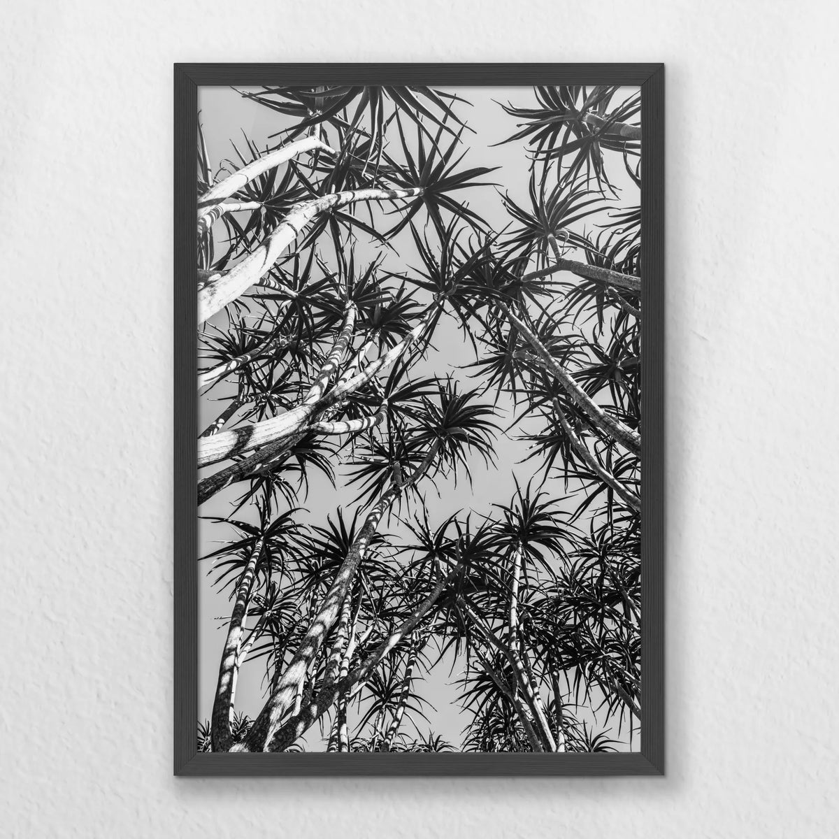 PK-040W060