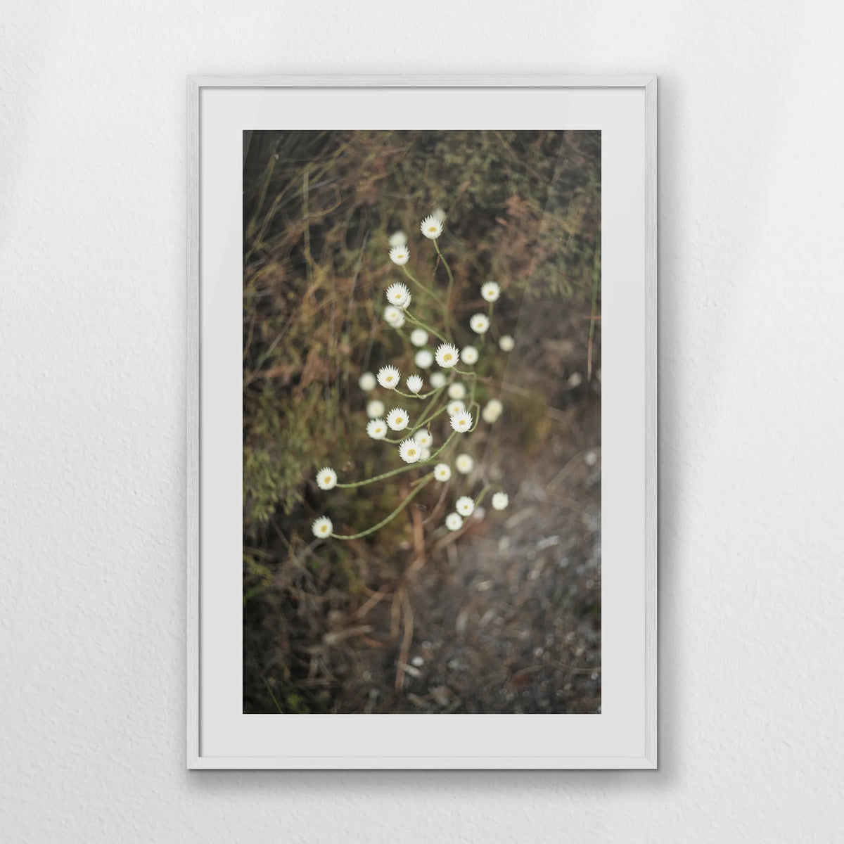 PWP070W100