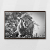 LWN100W070