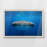 PN-060W040