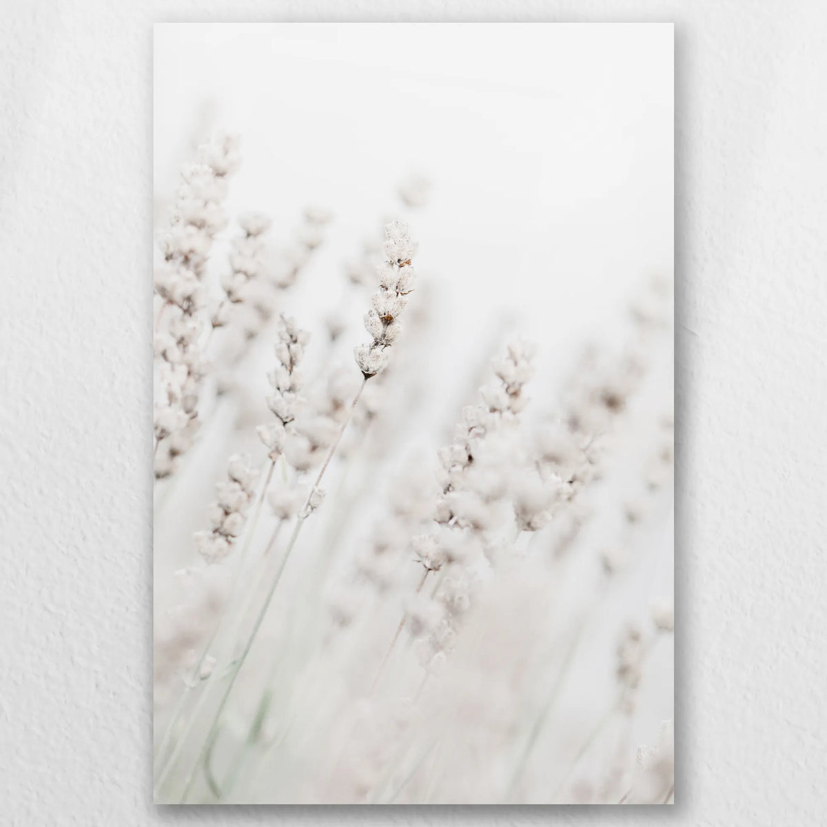 AC-030W045