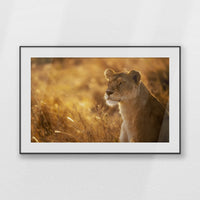 PBP120W080