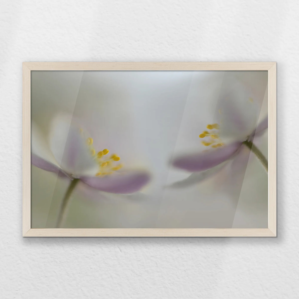 PN-060W040