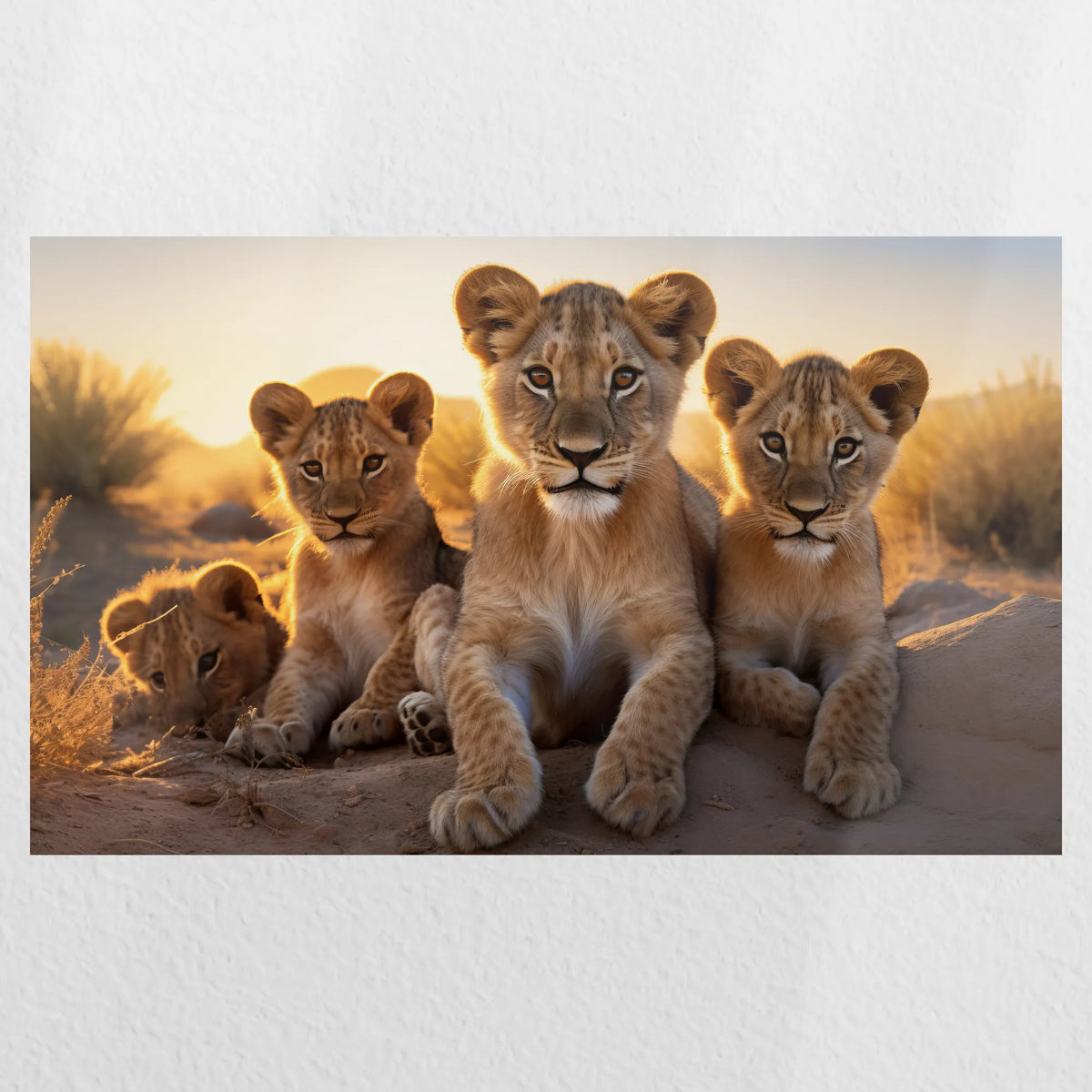 PO-050W030